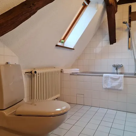 Lejlighed Avahome: Haus Fuer 16, Wlan, Parkplaetze, Netflix, Nespresso *