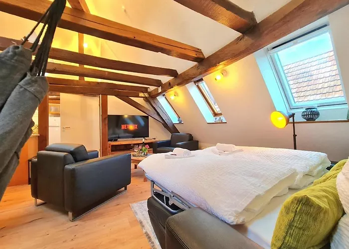 Apartamento Avahome: Haus Fuer 16, Wlan, Parkplaetze, Netflix, Nespresso Kandel